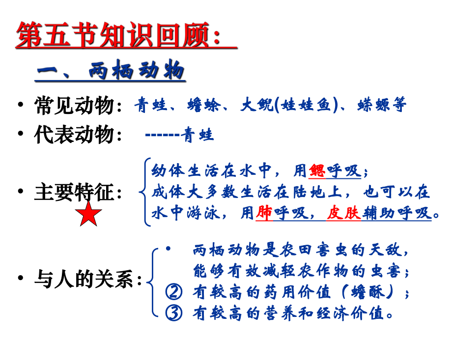 八年级上册人教版生物第六节 鸟.ppt_第2页