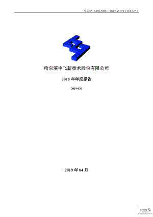 中飞股份：2018年年度报告.PDF