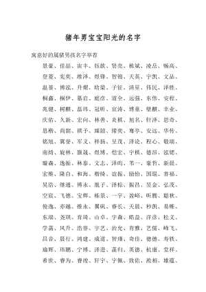 猪年男宝宝阳光的名字精选.docx