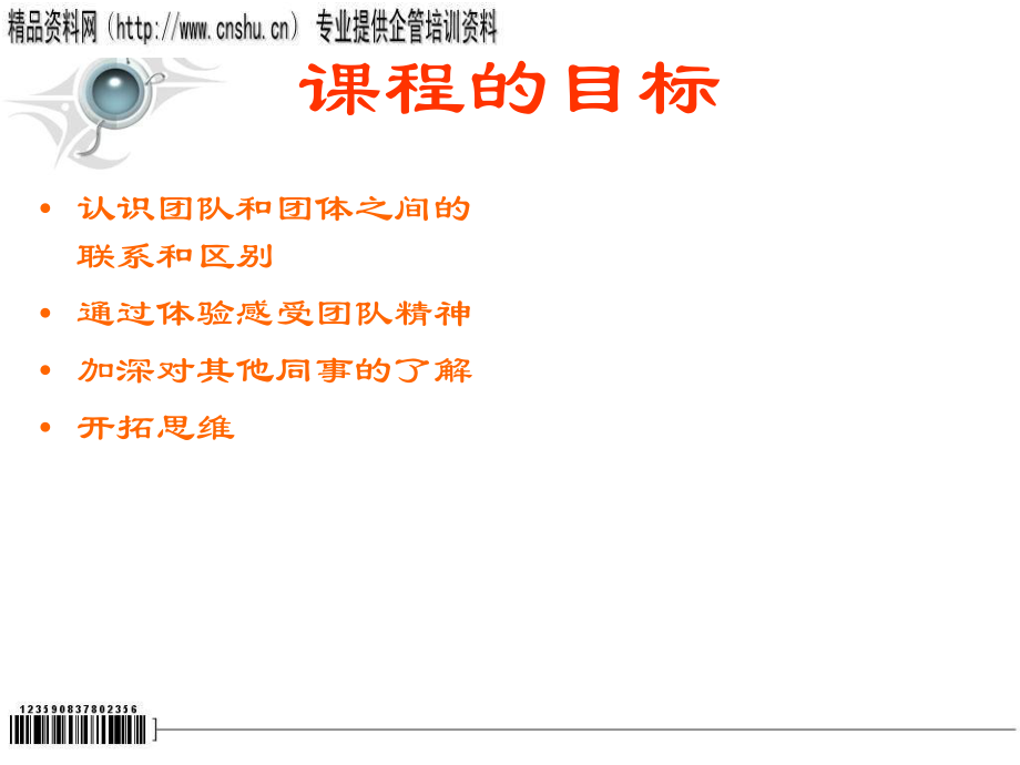 团队精神培训课程.pptx_第2页