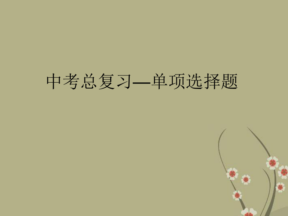 中考单选课件.ppt_第1页