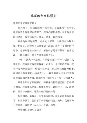 草莓的作文说明文汇总.docx