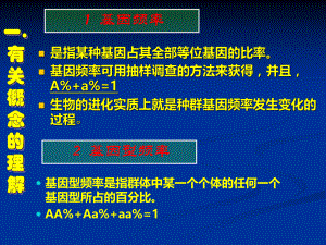 基因频率计算大全ppt课件.ppt