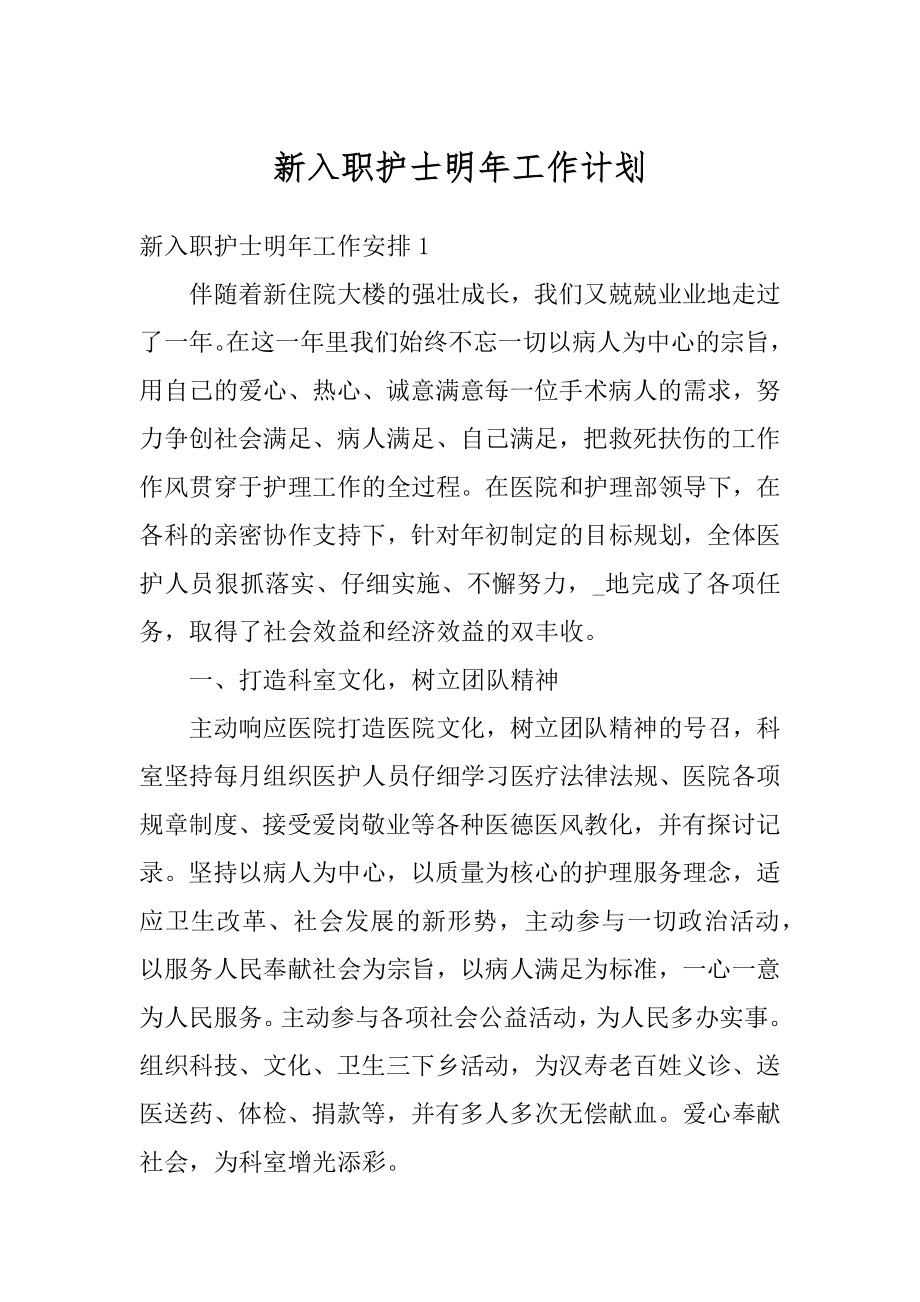 新入职护士明年工作计划汇编.docx_第1页