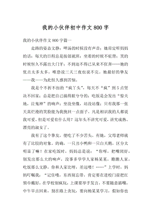 我的小伙伴初中作文800字范文.docx