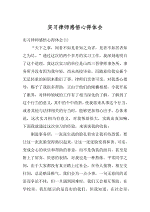 实习律师感悟心得体会优质.docx