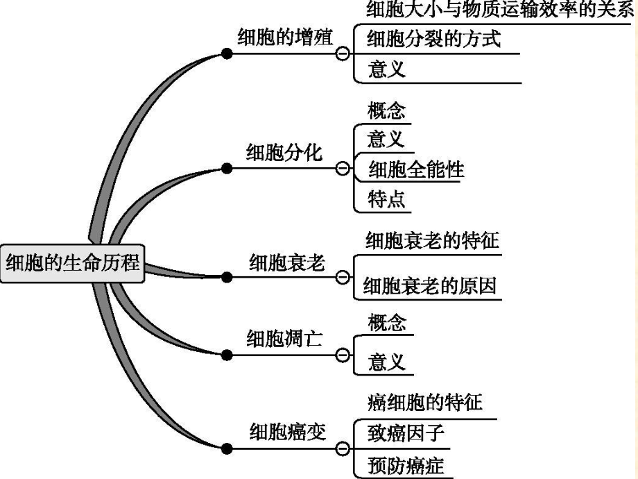 必修1-细胞分化、衰老、凋亡和癌变(高三一轮复习PPT课件).ppt_第1页