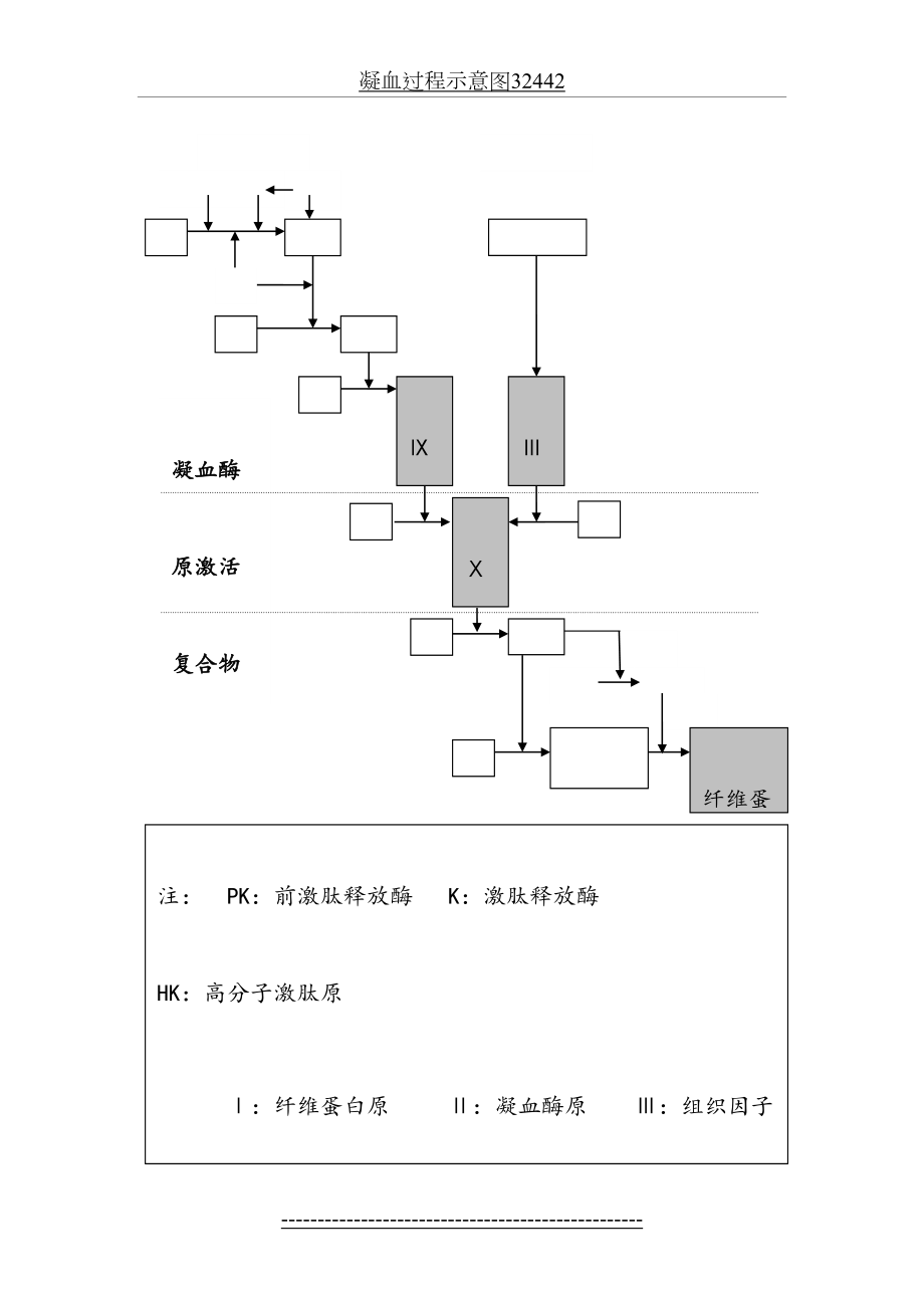 凝血过程示意图32442.doc_第2页