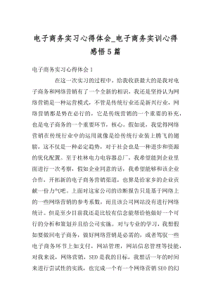 电子商务实习心得体会_电子商务实训心得感悟5篇优质.docx