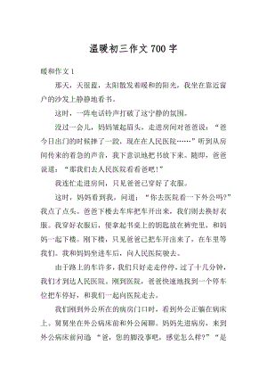 温暖初三作文700字精品.docx