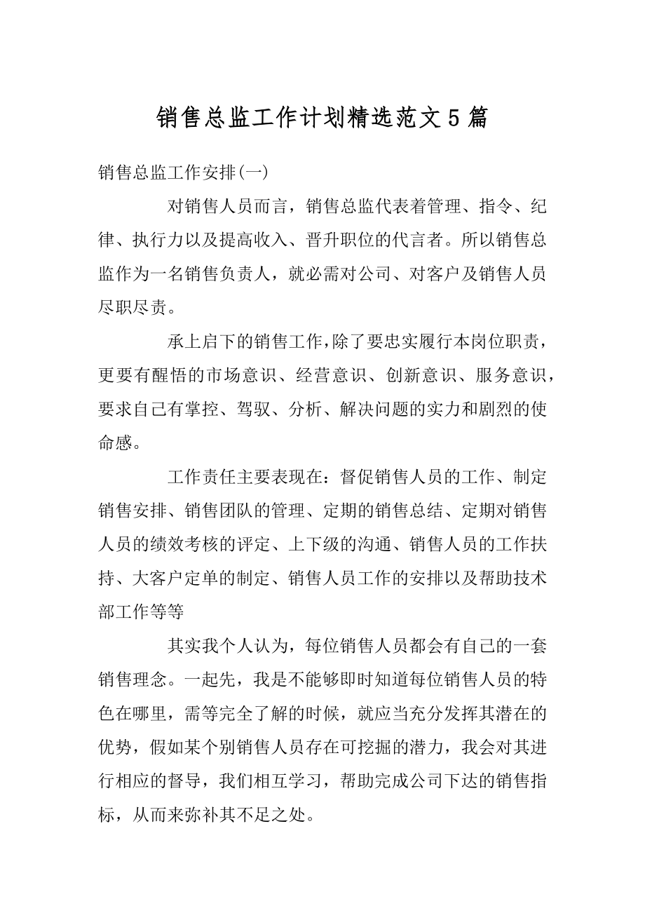 销售总监工作计划精选范文5篇优质.docx_第1页