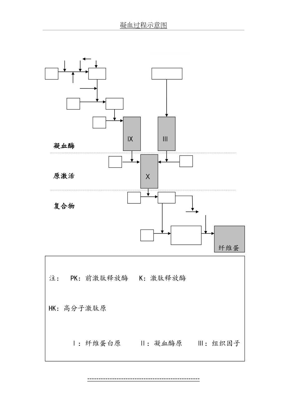 凝血过程示意图.doc_第2页