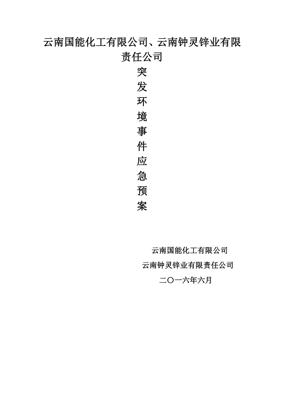 某锌业有限责任公司突发环境事件应急预案.docx_第1页