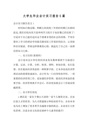 大学生毕业会计实习报告5篇范例.docx