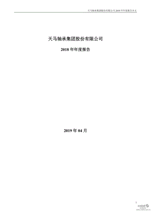 _ST天马：2018年年度报告.PDF