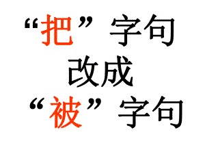 《把字句改成被字句》.ppt