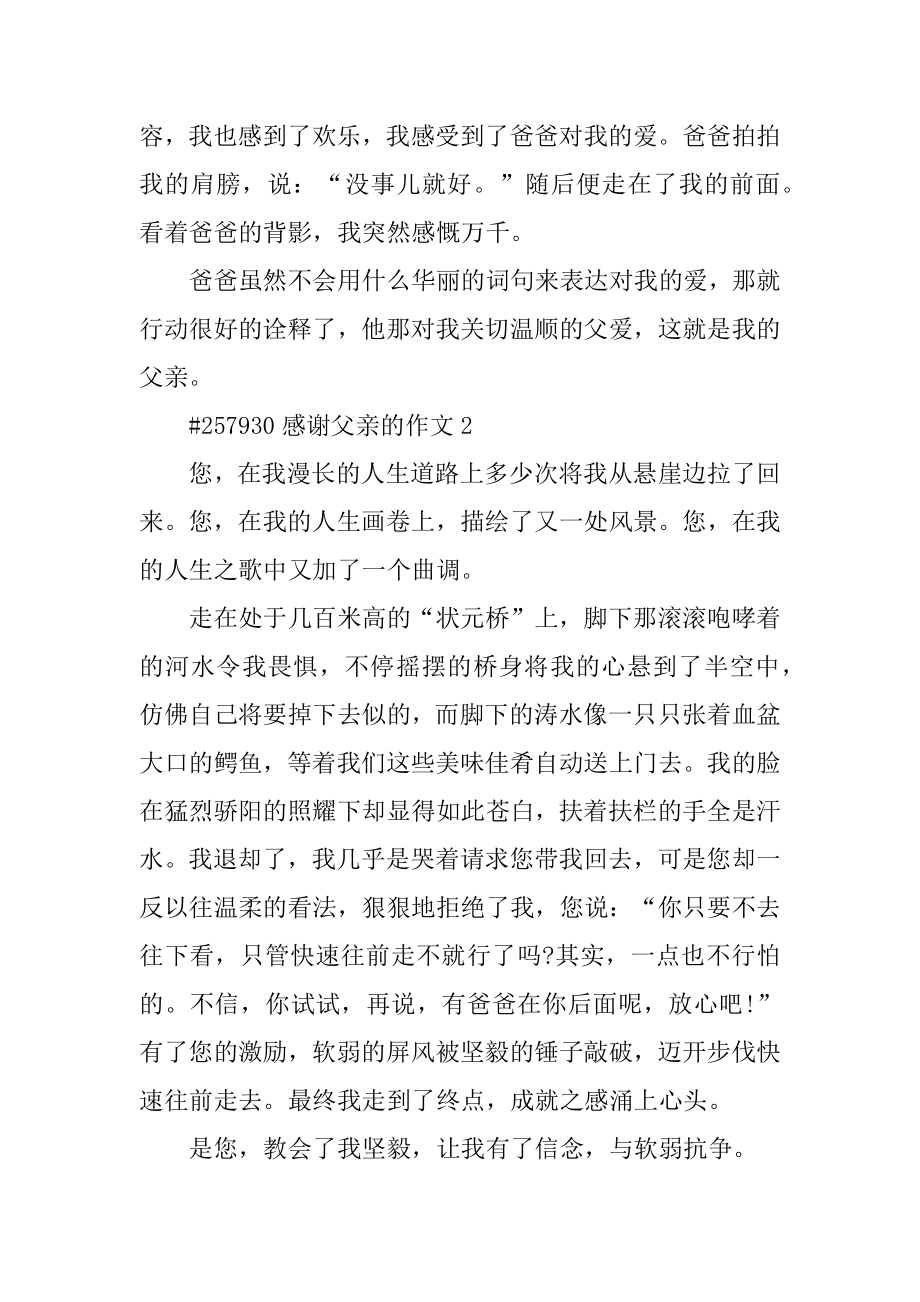 感激父亲的作文范本.docx_第2页