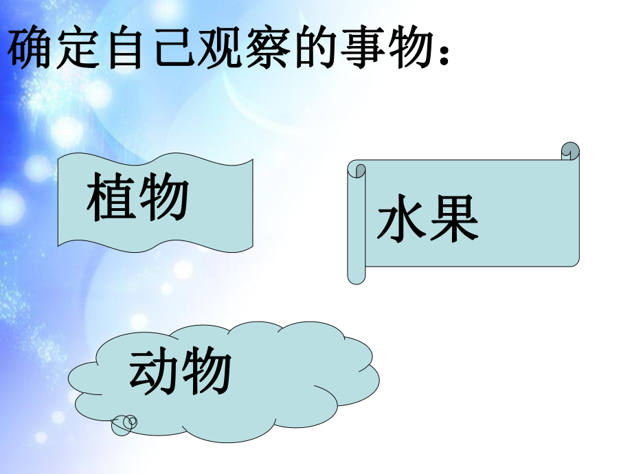 四年级上册语文第二单元观察作文.ppt_第2页