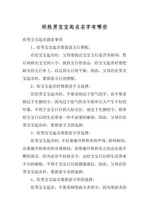 郑姓男宝宝起名名字有哪些汇编.docx