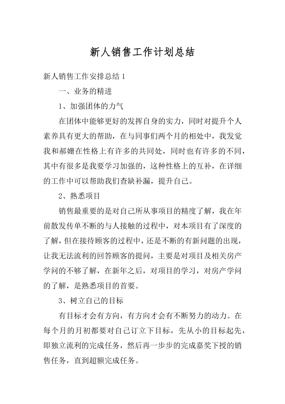 新人销售工作计划总结精品.docx_第1页