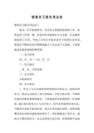 销售实习报告周总结精品.docx