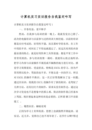 计算机实习实训报告自我鉴定咋写精编.docx