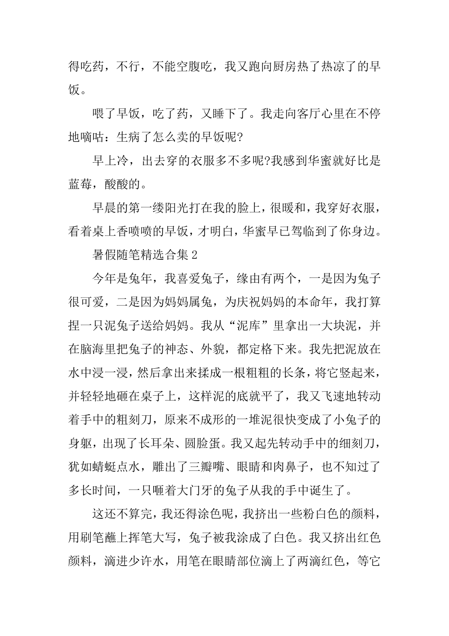 暑假随笔精选合集最新.docx_第2页