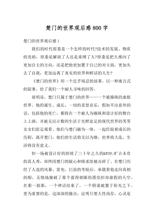 楚门的世界观后感800字精选.docx