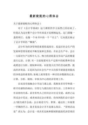 最新做账的心得体会例文.docx