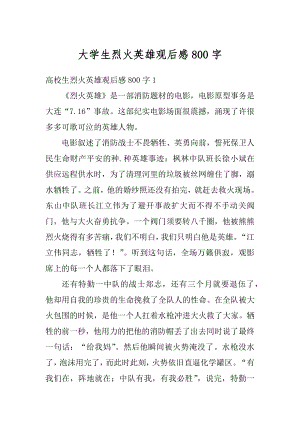 大学生烈火英雄观后感800字例文.docx