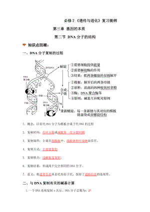 DNA分子的结构学案--高一下学期生物人教版必修2.docx