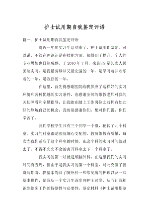 护士试用期自我鉴定评语范例.docx