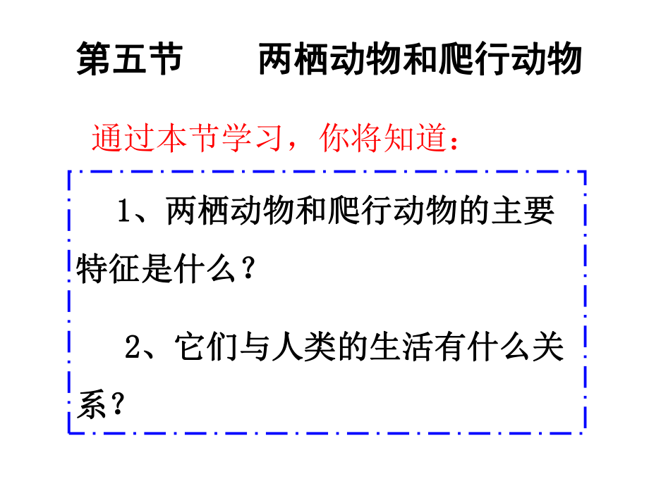 八年级生物上册第五节_两栖动物和爬行动物.ppt_第2页