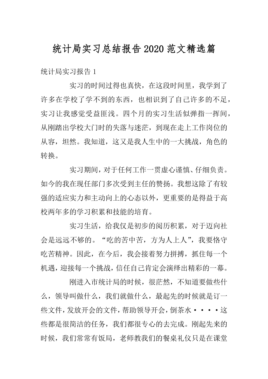 统计局实习总结报告2020范文精选篇汇编.docx_第1页