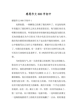 感恩作文800字初中范例.docx