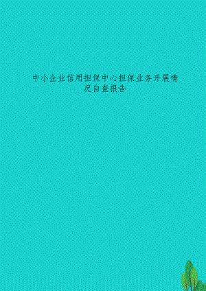 中小企业信用担保中心担保业务开展情况自查报告.doc