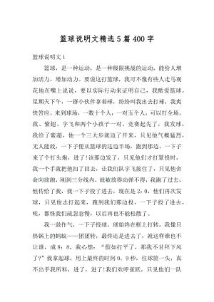 篮球说明文精选5篇400字精品.docx