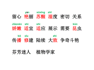 花钟1课件.ppt