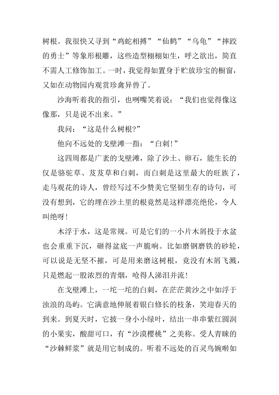 戈壁风骨现代文阅读答案汇总.docx_第2页