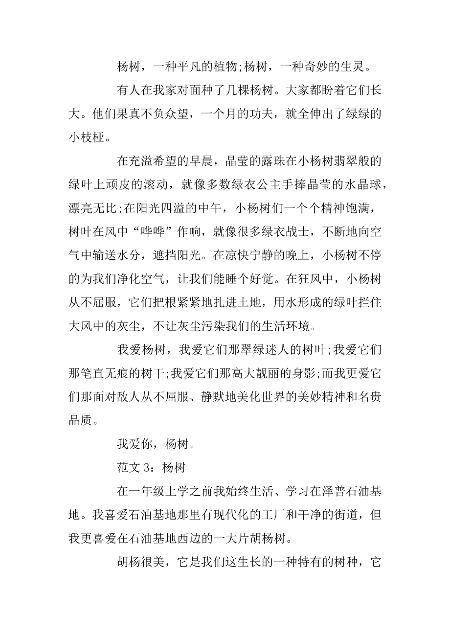 白杨树借景抒情作文600字_高中杨树作文五篇精选范例.docx_第2页