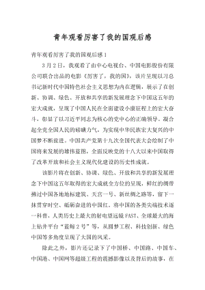 青年观看厉害了我的国观后感精编.docx