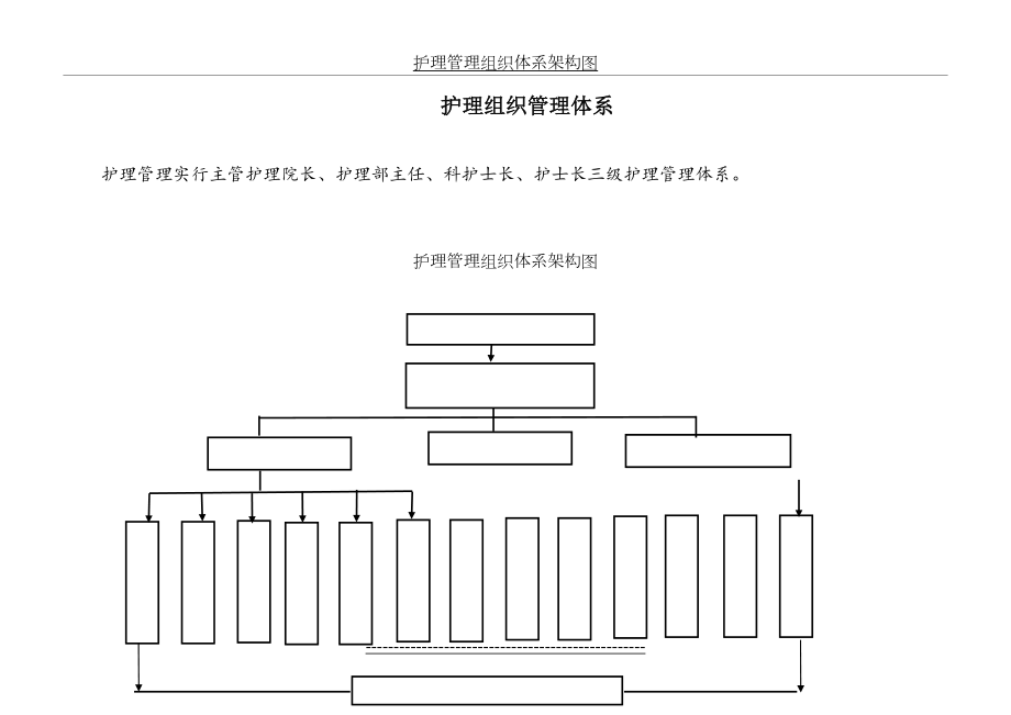 护理管理组织体系架构图.doc_第2页