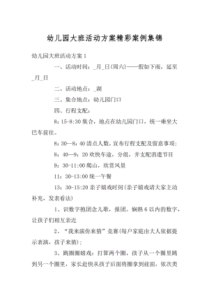 幼儿园大班活动方案精彩案例集锦汇编.docx