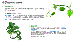 常见绿植养护方法ppt课件.pptx