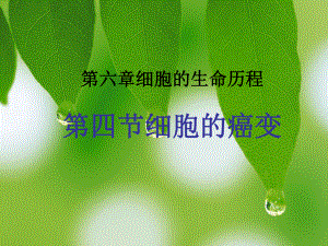 细胞的癌变课件.ppt