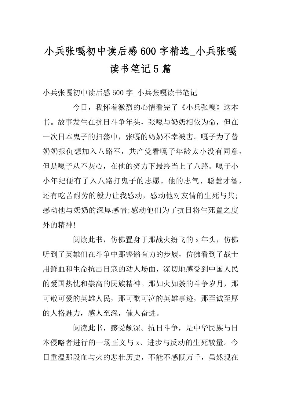 小兵张嘎初中读后感600字精选_小兵张嘎读书笔记5篇范例.docx_第1页