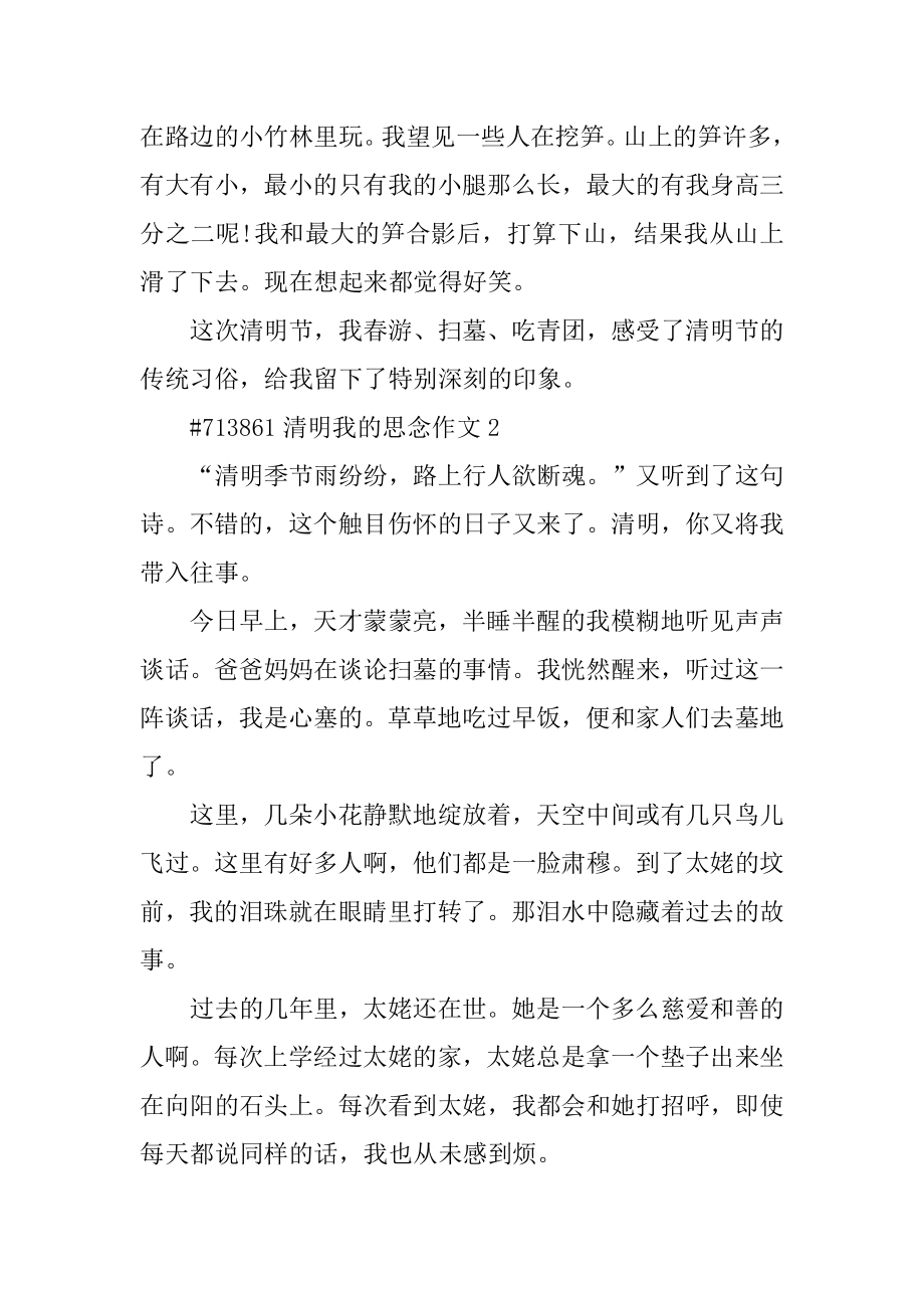 清明我的思念作文例文.docx_第2页