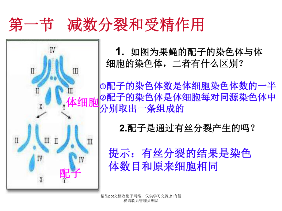 人教版生物必修二2.1 减数分裂和受精作用 课件.pptx_第2页