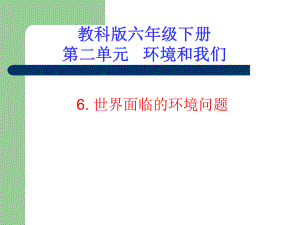 世界面临的环境问题.ppt