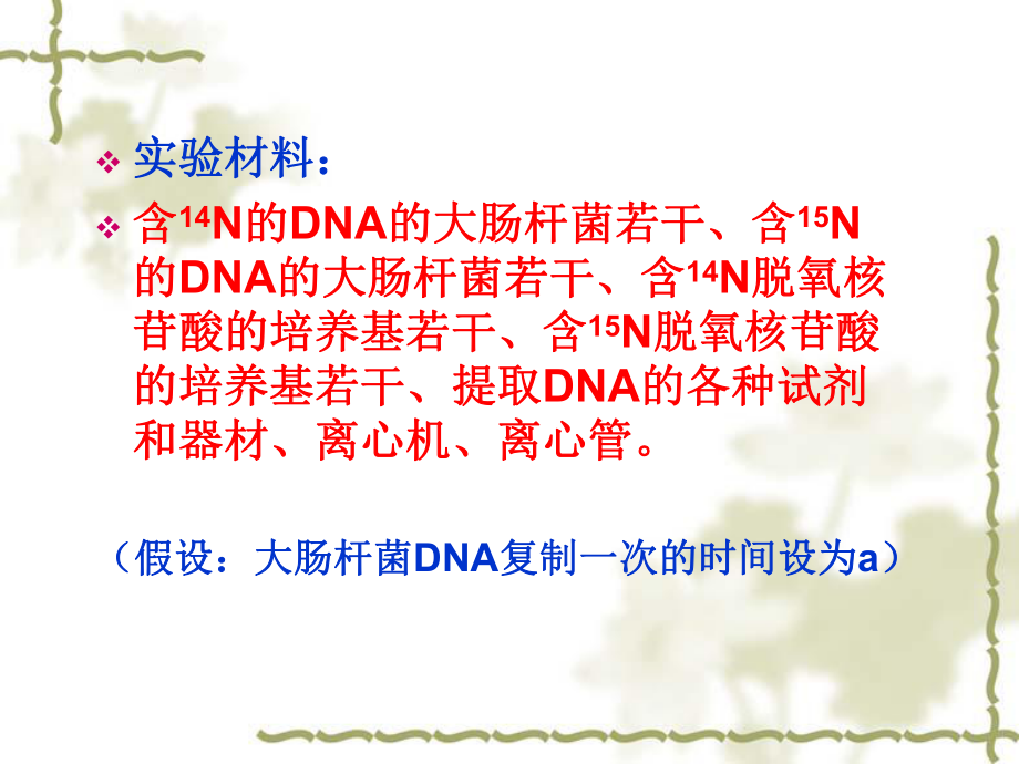 DNA复制课件2.ppt_第2页